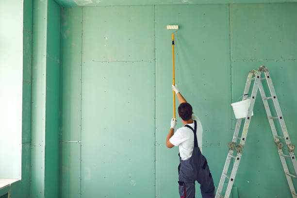 Best Industrial Mold Remediation  in Ball Pond, CT