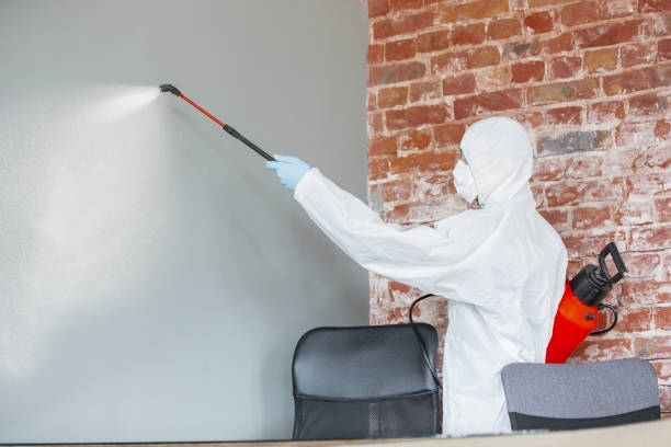 Best Mold-Related Health Consultation  in Ball Pond, CT