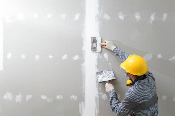 Reliable Ball Pond, CT Mold Removal Solutions