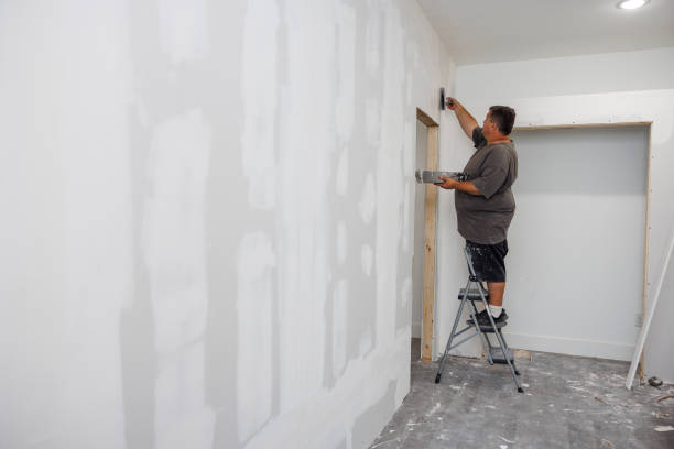 Best Mold Removal for HVAC Installations  in Ball Pond, CT