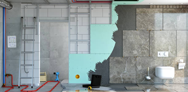 Best Basement Mold Removal  in Ball Pond, CT