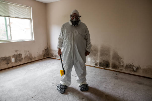 Best Mold Remediation for Healthcare Facilities  in Ball Pond, CT