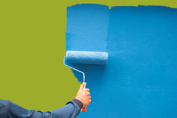 Best Real Estate Mold Inspection  in Ball Pond, CT
